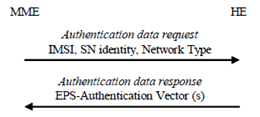 Copy of original 3GPP image for 3GPP TS 33.401, Fig. 6.1.2-1: Distribution of authentication data from HE to MME
