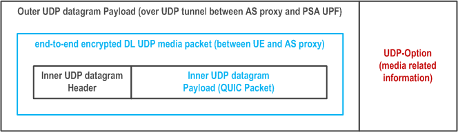 Reproduction of 3GPP TS 23.501, Fig. W-1: XRM packet structure