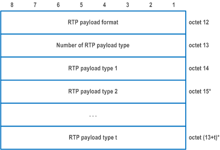 Reproduction of 3GPP TS 24.501, Fig. 9.11.4.39.4: RTP payload information