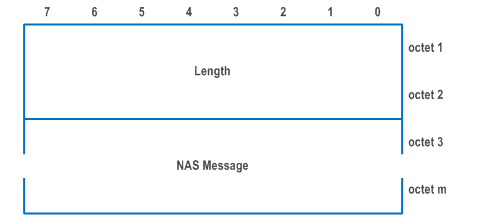 Reproduction of 3GPP TS 24.502, Fig. 9.4-1: NAS message envelope format